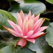 喜欢骑自行车的百里尔蓝头像