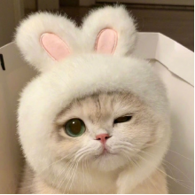 彭小小璐头像