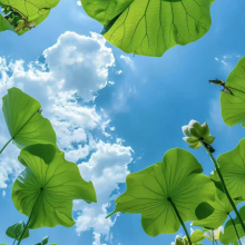 要什么名字头像