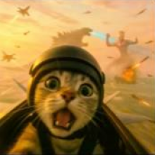 偷走月亮的猫头像