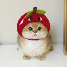 煎饼狗子头像