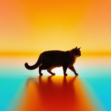 大英警察进小学咯头像