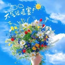 Amy頭像
