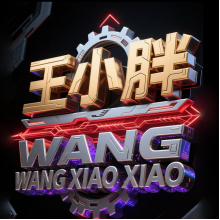 王小胖头像