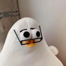 桉屿头像