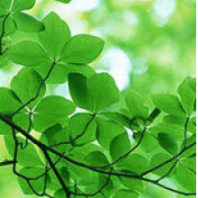 奋斗的蜗牛@Z头像