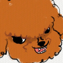 邪恶摇粒绒_头像