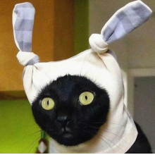L头像