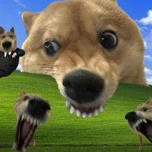 .头像