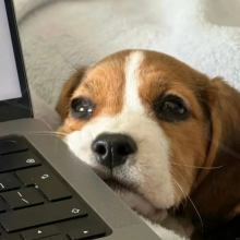 江苏著名平面设计头像