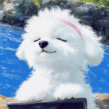 呐呐不拿拿头像