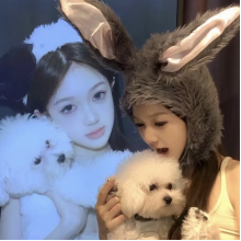 秋雾头像
