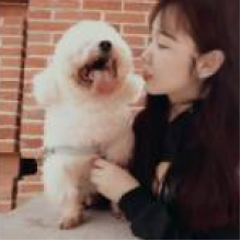 我系郭郭吖头像