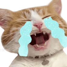 来生不做设计头像