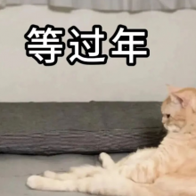 条条大路都致富头像