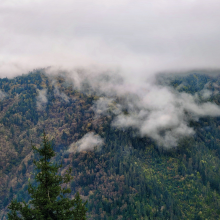 是雾也是风头像