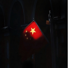 神仙老虎狗头像