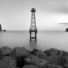 一颗葵葵子头像