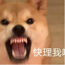 巴扎嘿嘿嘿头像