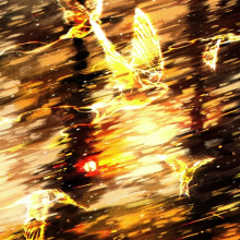 顺顺的小猪咪头像