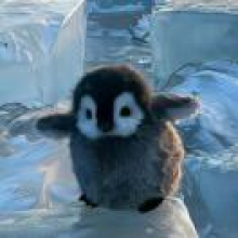 拾柒柒柒柒柒头像