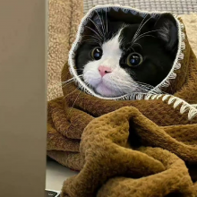 设计小趴菜头像