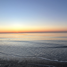 橙子橘子都爱吃呢头像