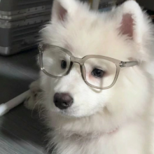 一杯冰美式头像