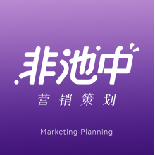 非池中美学头像