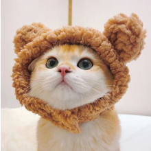 设计小伙伴头像