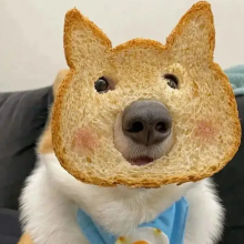 财不入急门头像