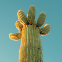 淡定搞事工作室头像