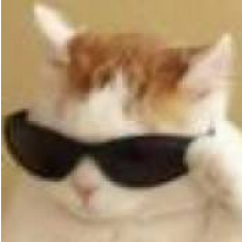 槿葵本葵vae头像