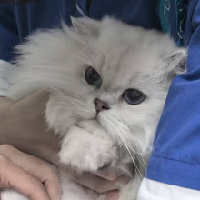 新建文件夹头像