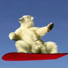 改行能做什么头像