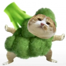 我爱吃西蓝花头像