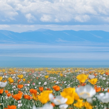 小胖杂货铺头像