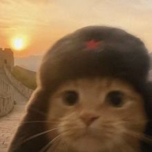 无敌大专王头像