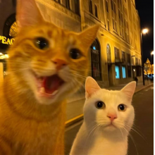H头像