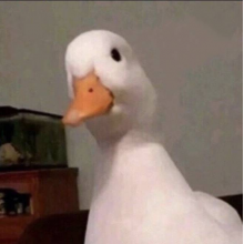 ...头像