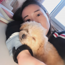 软而东草头方头像