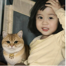 陆子野头像