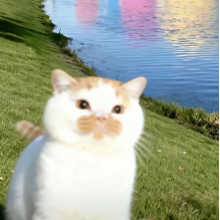 Silas头像