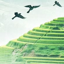 庚哥头像
