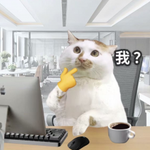 1KB小脑在思考头像