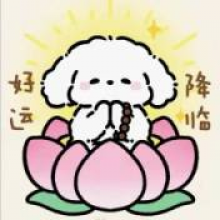 琳琳头像
