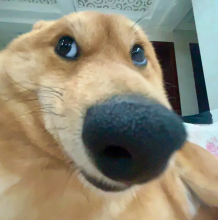 星辰头像