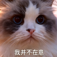 GK 2 FAT头像